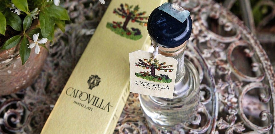<b>Distillati Capovilla</b>