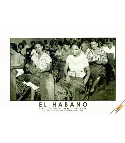 Habanos SA Poster, stampe e opere decorative Stampa "El Habano" #2