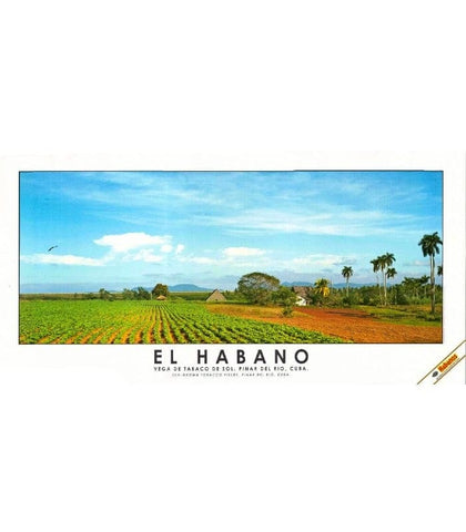 Habanos SA Poster, stampe e opere decorative Stampa "El Habano" #3