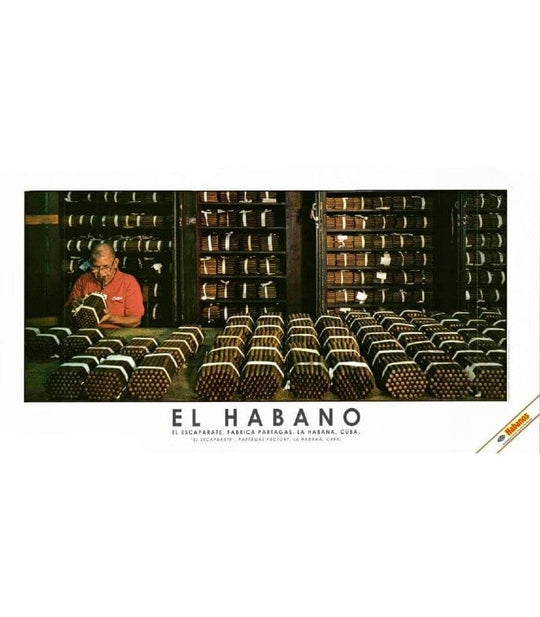 Stampa "El Habano" #5
