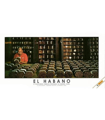 Habanos SA Poster, stampe e opere decorative Stampa "El Habano" #5