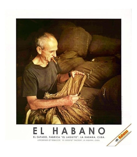 Stampa "El Habano" #6