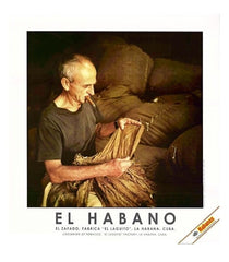 Habanos SA Poster, stampe e opere decorative Stampa "El Habano" #6
