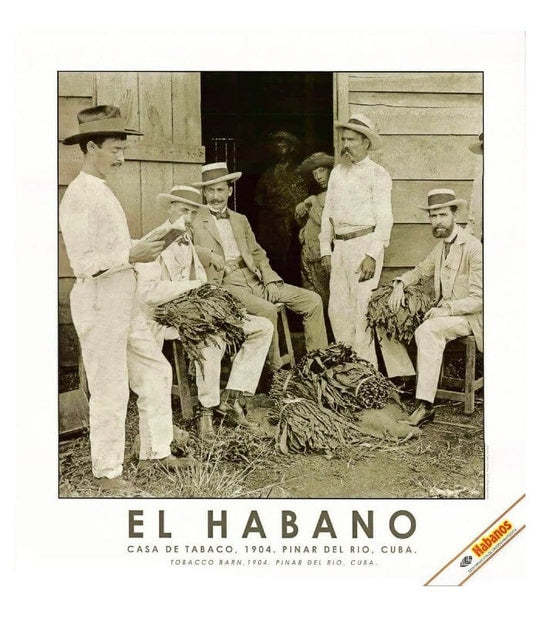 Stampa "El Habano" #7