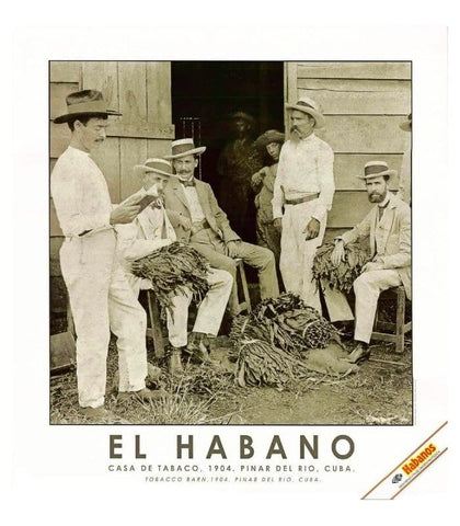 Habanos SA Poster, stampe e opere decorative Stampa "El Habano" #7