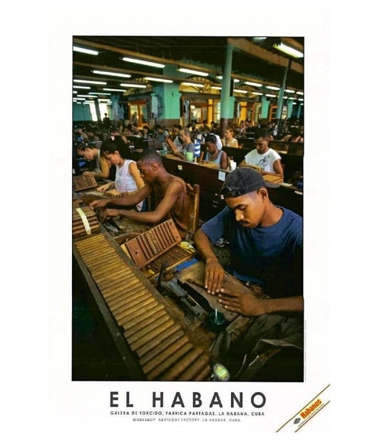 Stampa "El Habano" #8