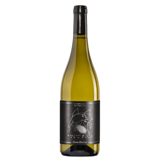 Animale Celeste Santa Barbara