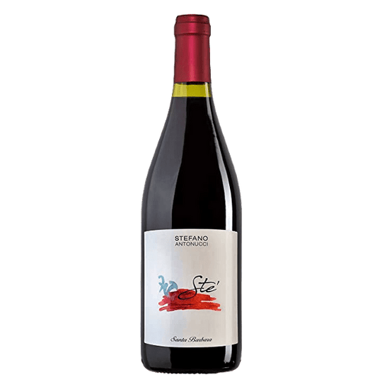 Stè Rosso Piceno DOC Santa Barbara
