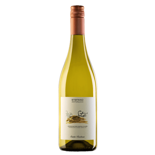 Stè Verdicchio dei Castelli di Jesi DOC Santa Barbara