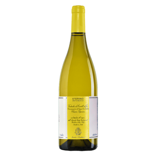 Stefano Antonucci Verdicchio dei Castelli di Jesi DOC Classico Superiore Santa Barbara